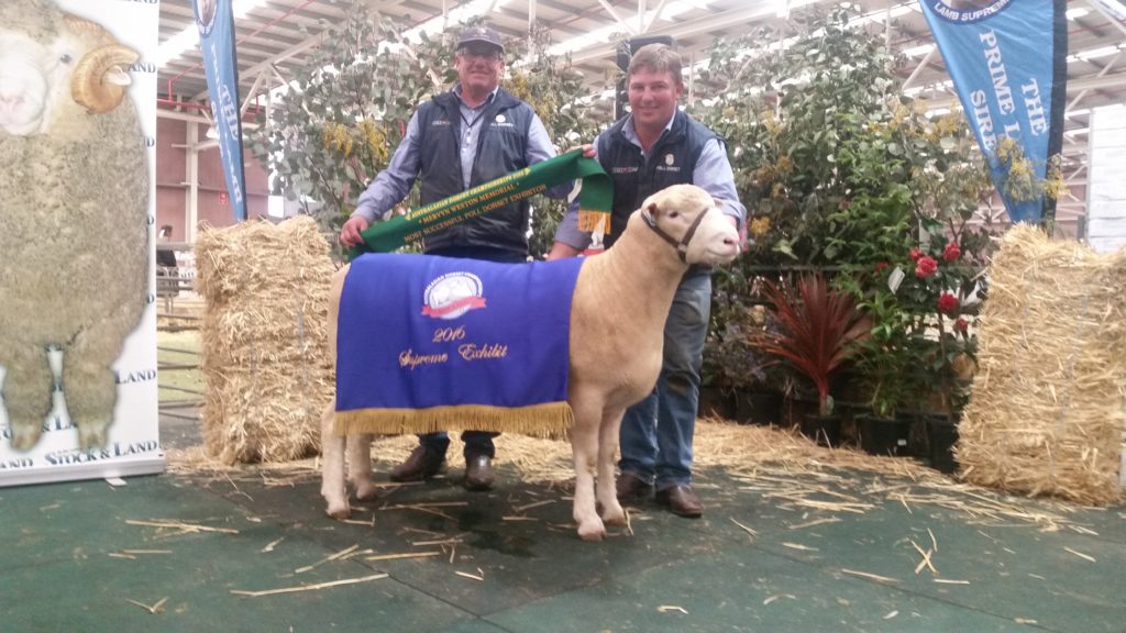 2016 Supreme Exhibit